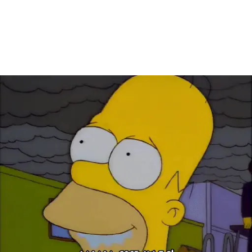 Homero 2 2