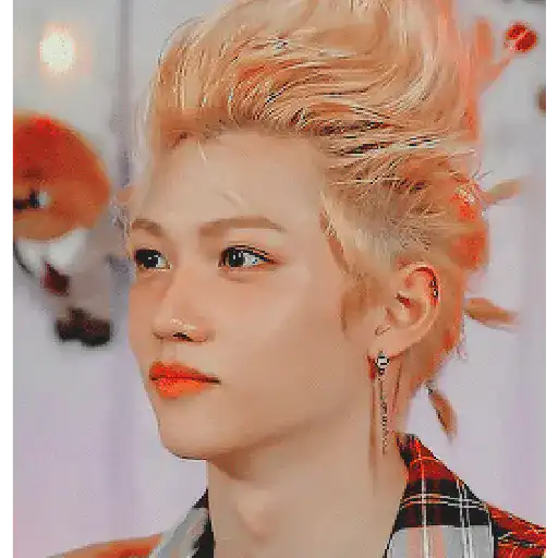 Lee Felix Stray Kids 13