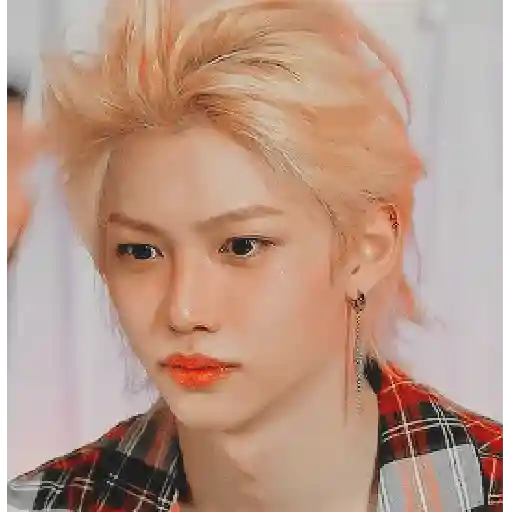 Lee Felix Stray Kids 11