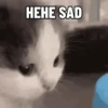 Kucing Kuvukiland 8