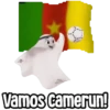 Vamos camerun!