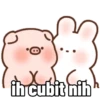 Babi lucu kek kamu 6