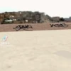 Zezao 13