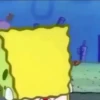BIKINIBOTTOM 8