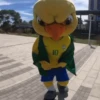 TORCENDO COM O CANARINHO 6