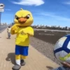 TORCENDO COM O CANARINHO 12