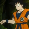 Son Goku | 29