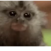 Funny Expression  6