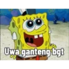 Kartun 14