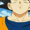Son Goku | 18