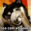 Reações das boas 😂 12