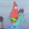 Patrick 13