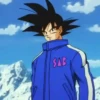 Son Goku | 13
