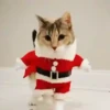 🐱Michis en Navidad 2🎁🎄 13