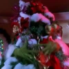 💚El Grinch 💚 24