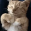 ❤️🐱 Dilo con michis 2 🐱❤️ 26
