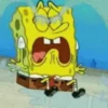 BOB ESPONJA 15