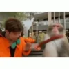 Funny Memes 8