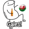 ⚽Flork Mundialista🏟️🏆 20