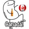 ⚽Flork Mundialista🏟️🏆 14