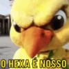 TORCENDO COM O CANARINHO 5