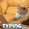 Memes 10