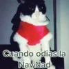 🐱Michis en Navidad🎁🎄 12