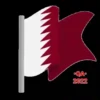 ☆MUNDIAL QATAR 2022☆⚽️ 7