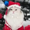 🐱Michis en Navidad🎁🎄 17