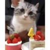 Animados Gatitos 🙀 12