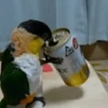 Pajaritos UwU🐦💗💫 12