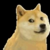 Cheems Animated LOL 14