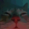 Kittos 😺 10