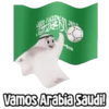 Vamos Arabia Saudi!