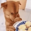 Funny Animated 10