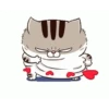 Mood kucing 8