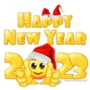 HAPPY NEW YEAR 2023  10