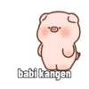 Babi lucu kek kamu 5