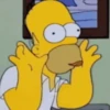 Simpson 10