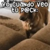 🐶 Perritos Frases Mov. 1.0 🐾 8