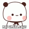 Cute Pandaa 17