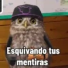 🦆Animalitos graciosos🦉 7