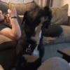 Tiktok Virales Mix 1😎🤙 7