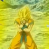Son Goku | 22