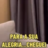 MEMES HASBULLA 🙋🏼‍♂️ 8