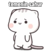 Peach Cat (2) 14