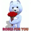 Rose Day  6