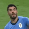 World Cup pack 16