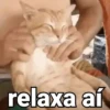 Reações aleatórias 😌 12