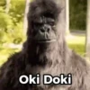 🥁Animados para ti🥁 11